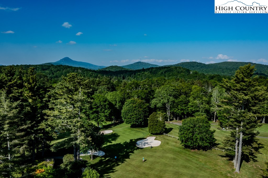 183 Rhododendron Loop Newland, NC 28657 - Photo 46 of 49 a view of a lush green outdoor space with a lake view