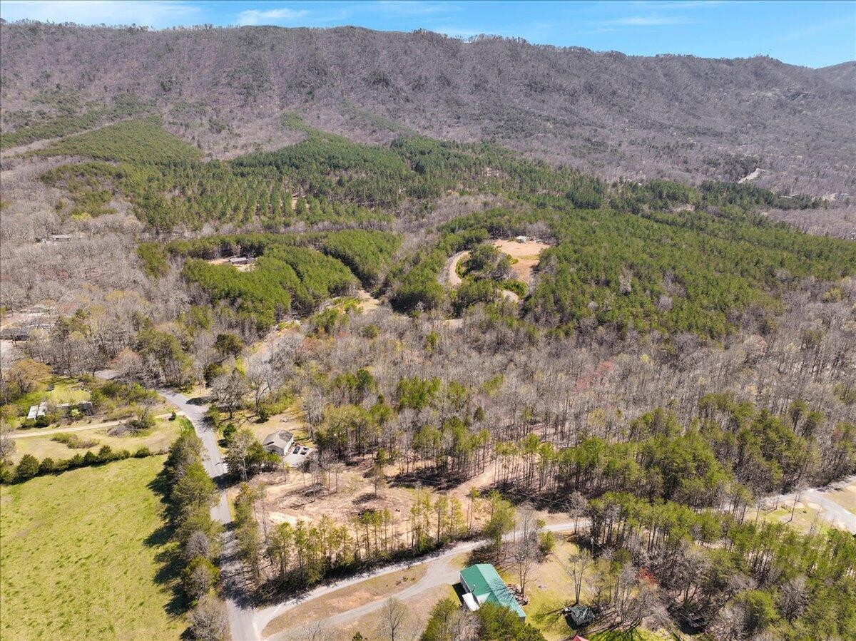 190 Camp Agape Road Benton, TN 37307 - Photo 11 of 18 Gallery Image 11