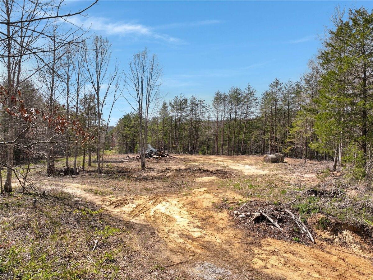 190 Camp Agape Road Benton, TN 37307 - Photo 2 of 18 Gallery Image 2