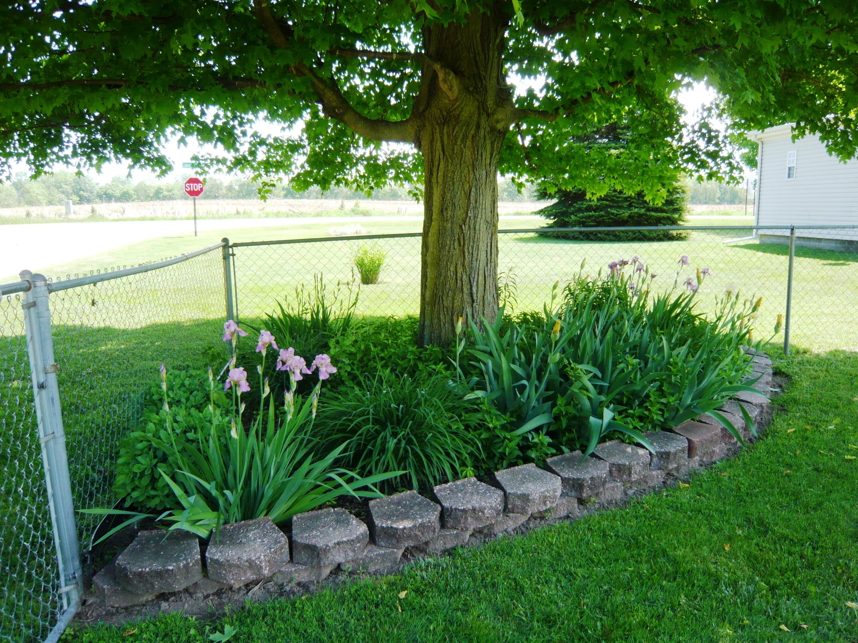 3122 Long Lake Road Reading, MI 49274 - Photo 4 of 36 P1060018