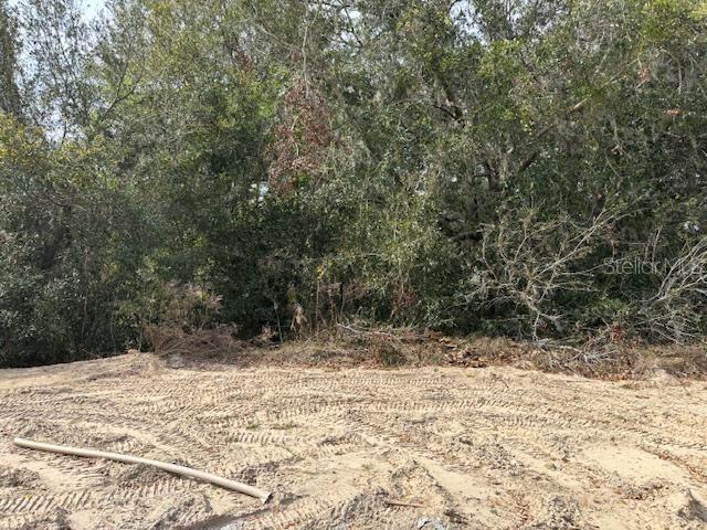 6698 Southwest 179th Ave Road Dunnellon, FL 34432 - Photo 9 of 19