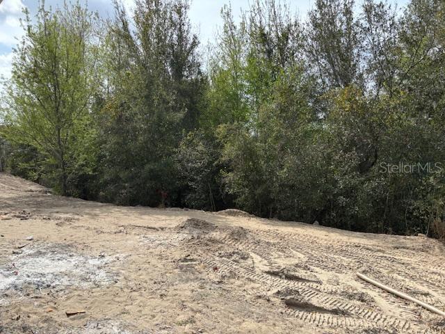 6698 Southwest 179th Ave Road Dunnellon, FL 34432 - Photo 10 of 19