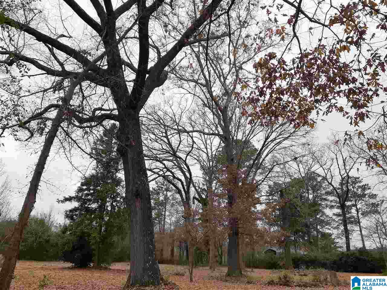 125 Handley Road, Unit 1 Gardendale, AL 35071 - Photo 4 of 5