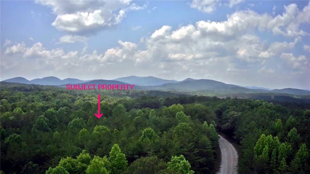 0 Hubbard Road Dawsonville, GA 30534 - Photo 4 of 8