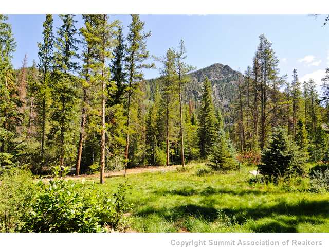47 Wolf Rock Road Keystone, CO 80435 - Photo 23 of 25 View.