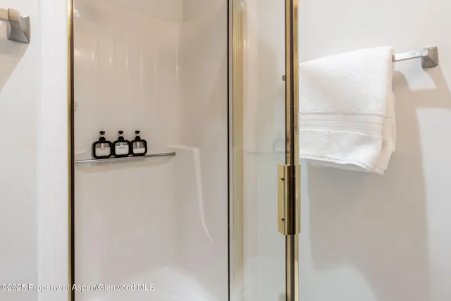 $11,000 | 100 East Dean Street, Unit 1D, Aspen, CO 81611