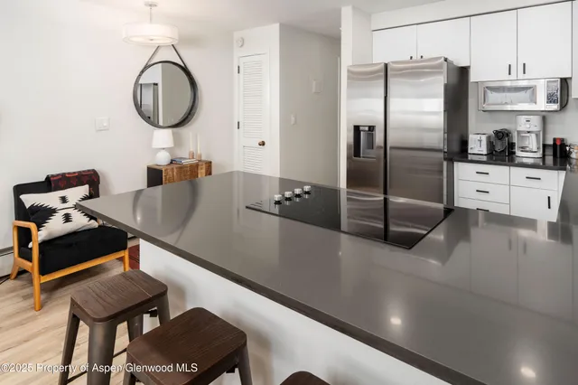 $11,000 | 100 East Dean Street, Unit 1D, Aspen, CO 81611