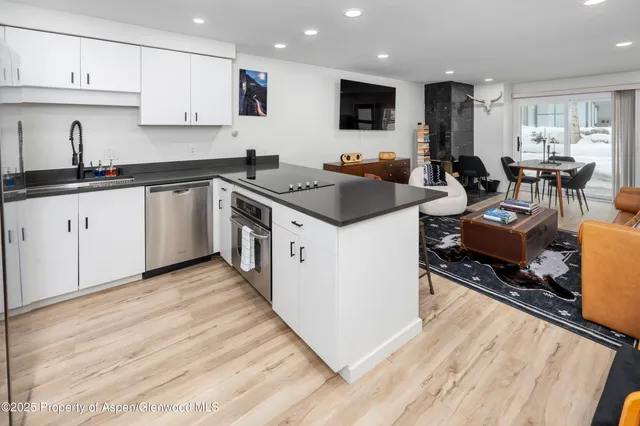 $11,000 | 100 East Dean Street, Unit 1D, Aspen, CO 81611