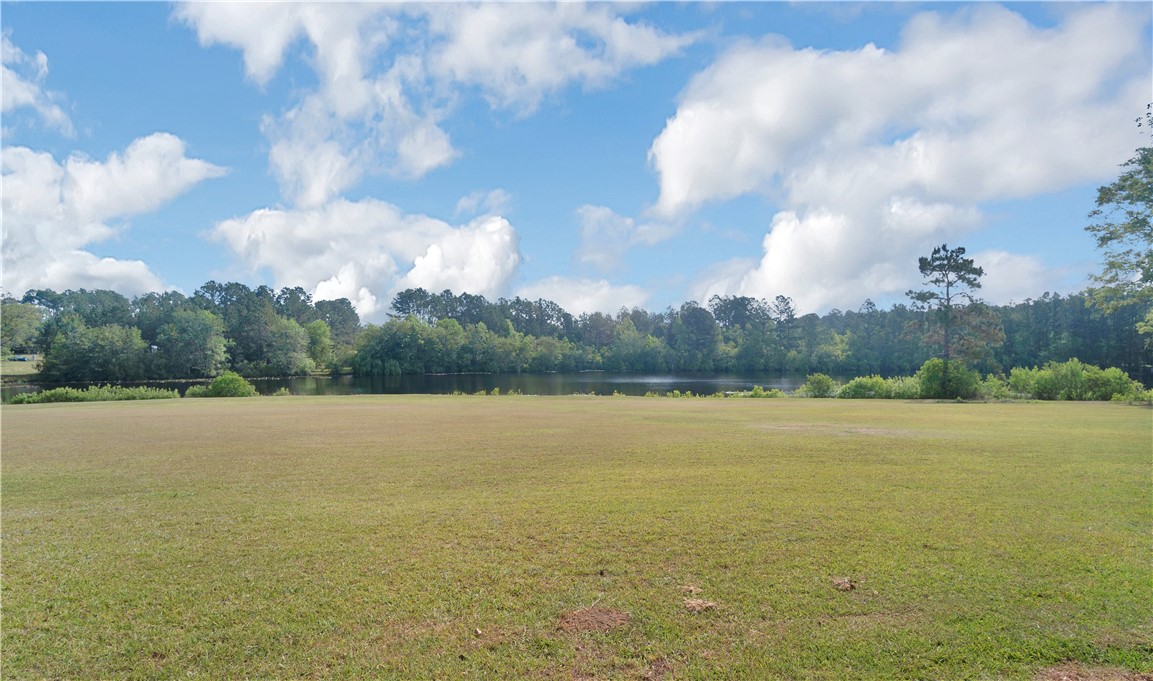 296 Seaboard Road Jesup, GA 31545 - Photo 4 of 27