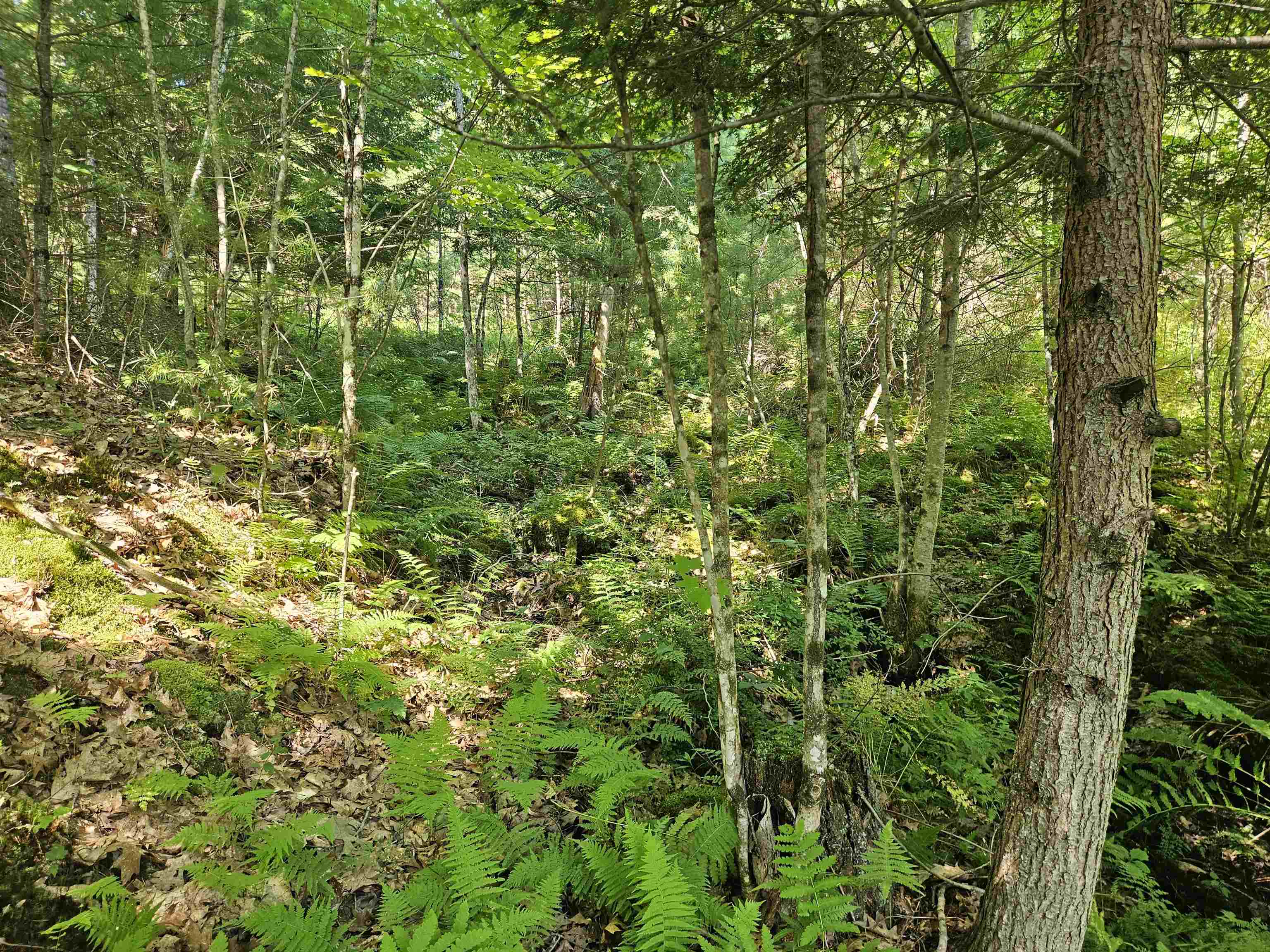 Lot 3.2 Off Parker Road Lisbon, NH 03585 - Photo 7 of 29 Gallery Image 7