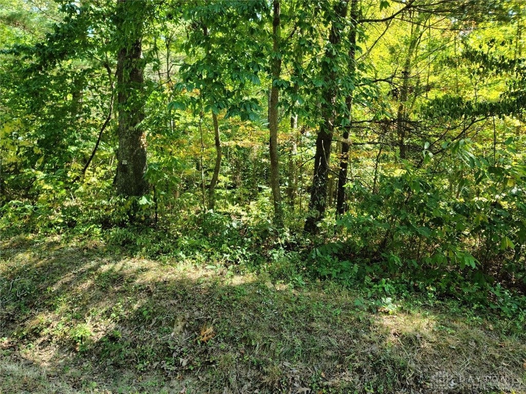 0 Apple Grove-Dorcas Road Racine, OH 45771 - Photo 2 of 5 Gallery Image 2