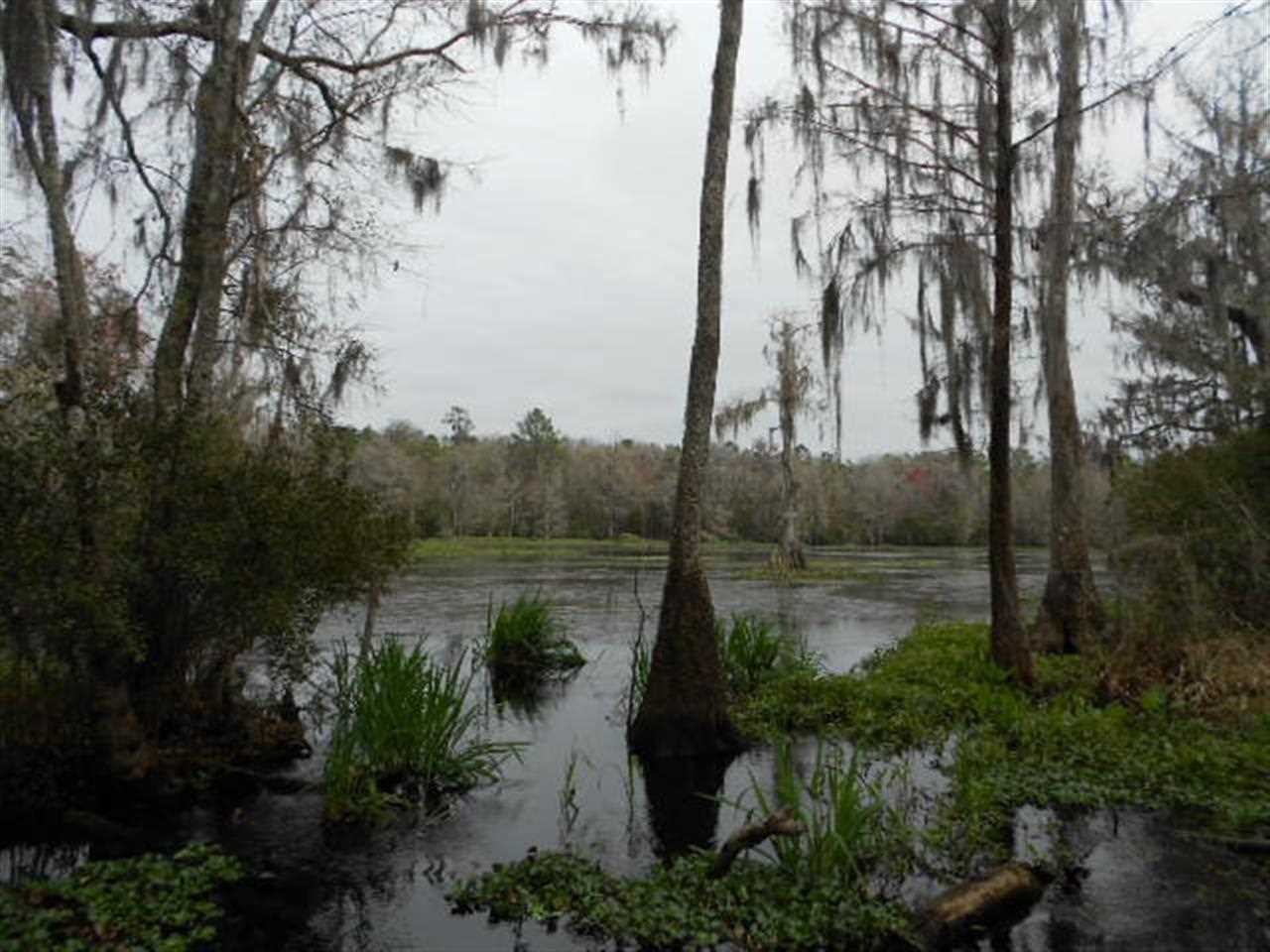 7549 St Marks Rise Road Tallahassee, FL 32305 - Photo 1 of 18 Gallery Image 1