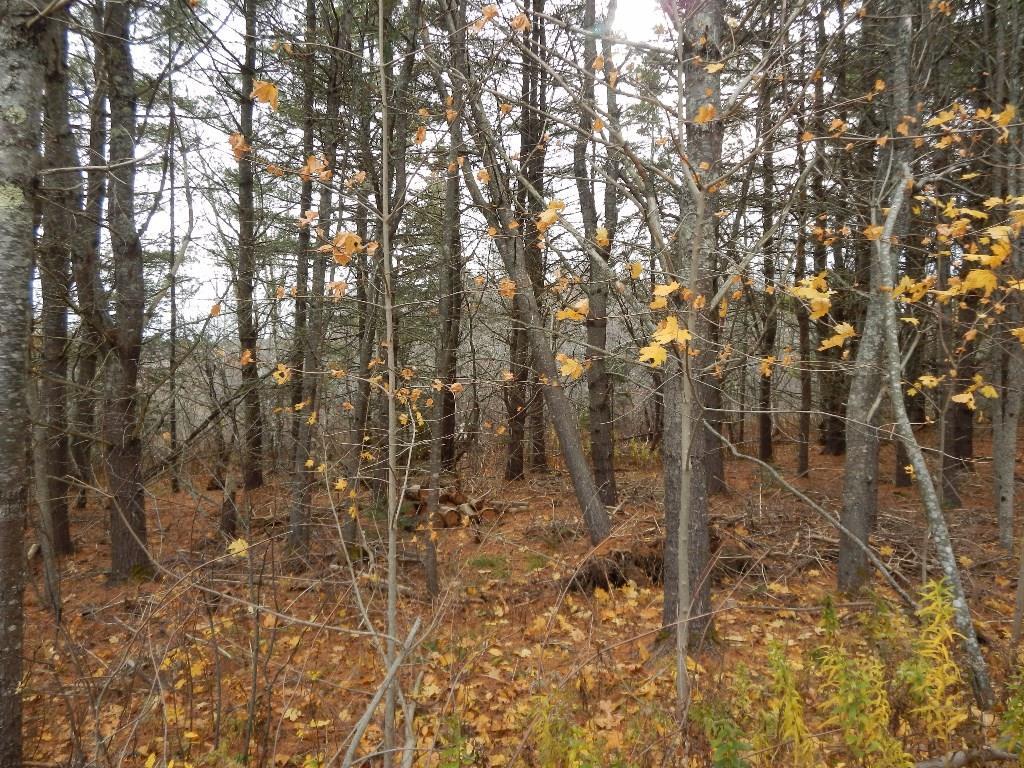 Lot 13-g West Bay Road Prospect Harbor, ME 04669 - Photo 3 of 20 Photo