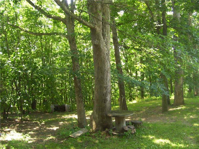 610 Swan Road Homer City, PA 15748 - Photo 25 of 25 Gallery Image 25