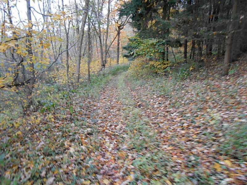 White Gate Road Avella, PA 15312 - Photo 3 of 5 Land/Lot.
