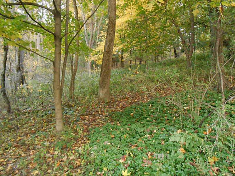 White Gate Road Avella, PA 15312 - Photo 4 of 5 Land/Lot.