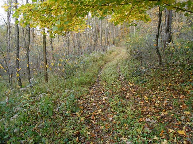 White Gate Road Avella, PA 15312 - Photo 5 of 5 Land/Lot.