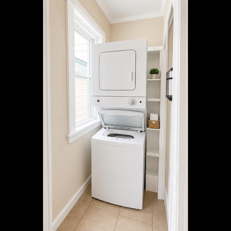 781 Columbia Road, Unit 3 Boston, MA 02125 - Photo 9 of 14