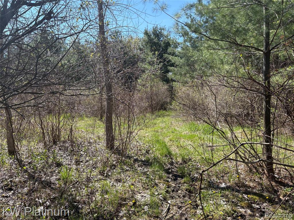 0 North Road Fort Gratiot, MI 48059 - Photo 10 of 18