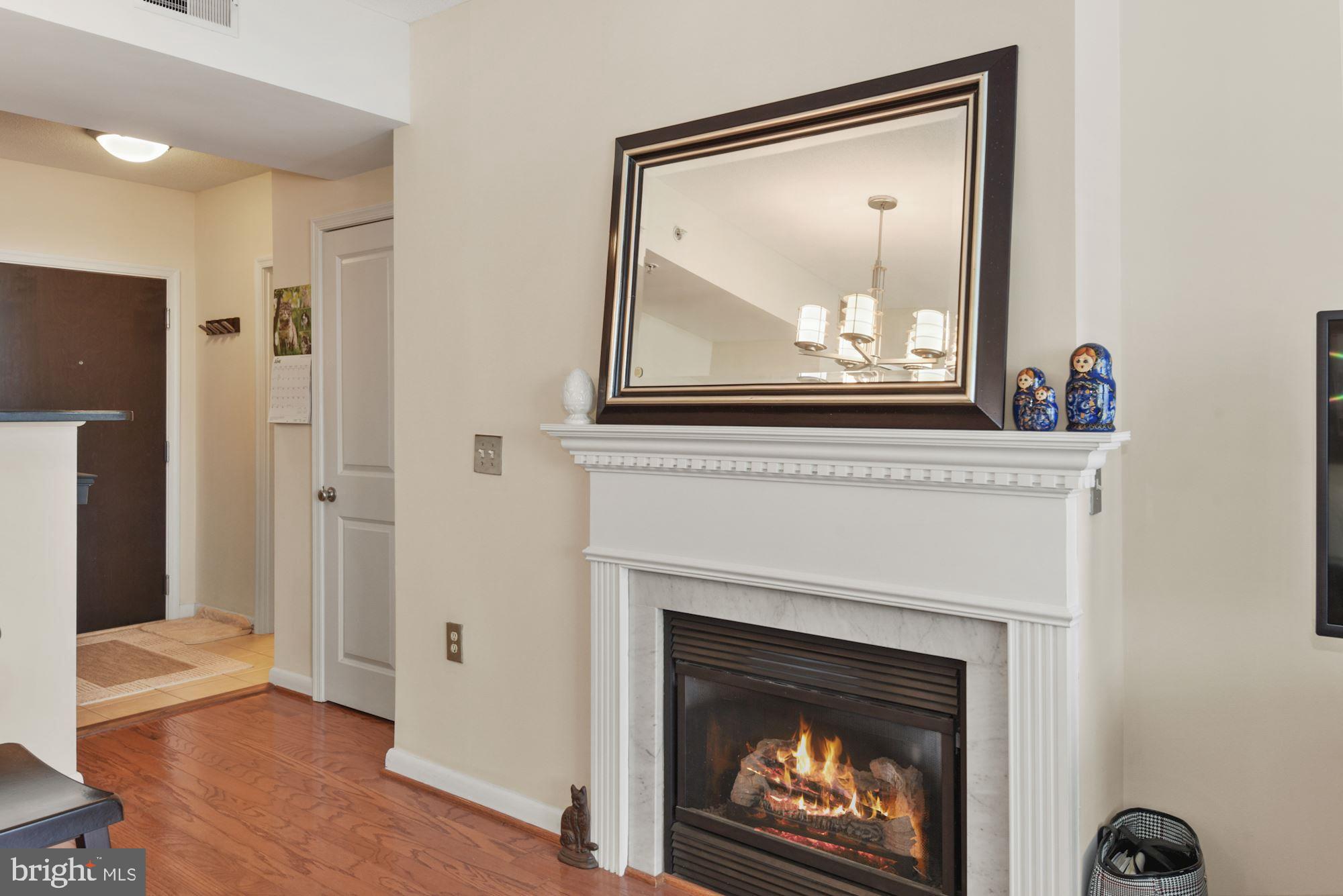 851 North Glebe Road, Unit 1715 Arlington, VA 22203 - Photo 9 of 34 COZY GAS FIREPLACE