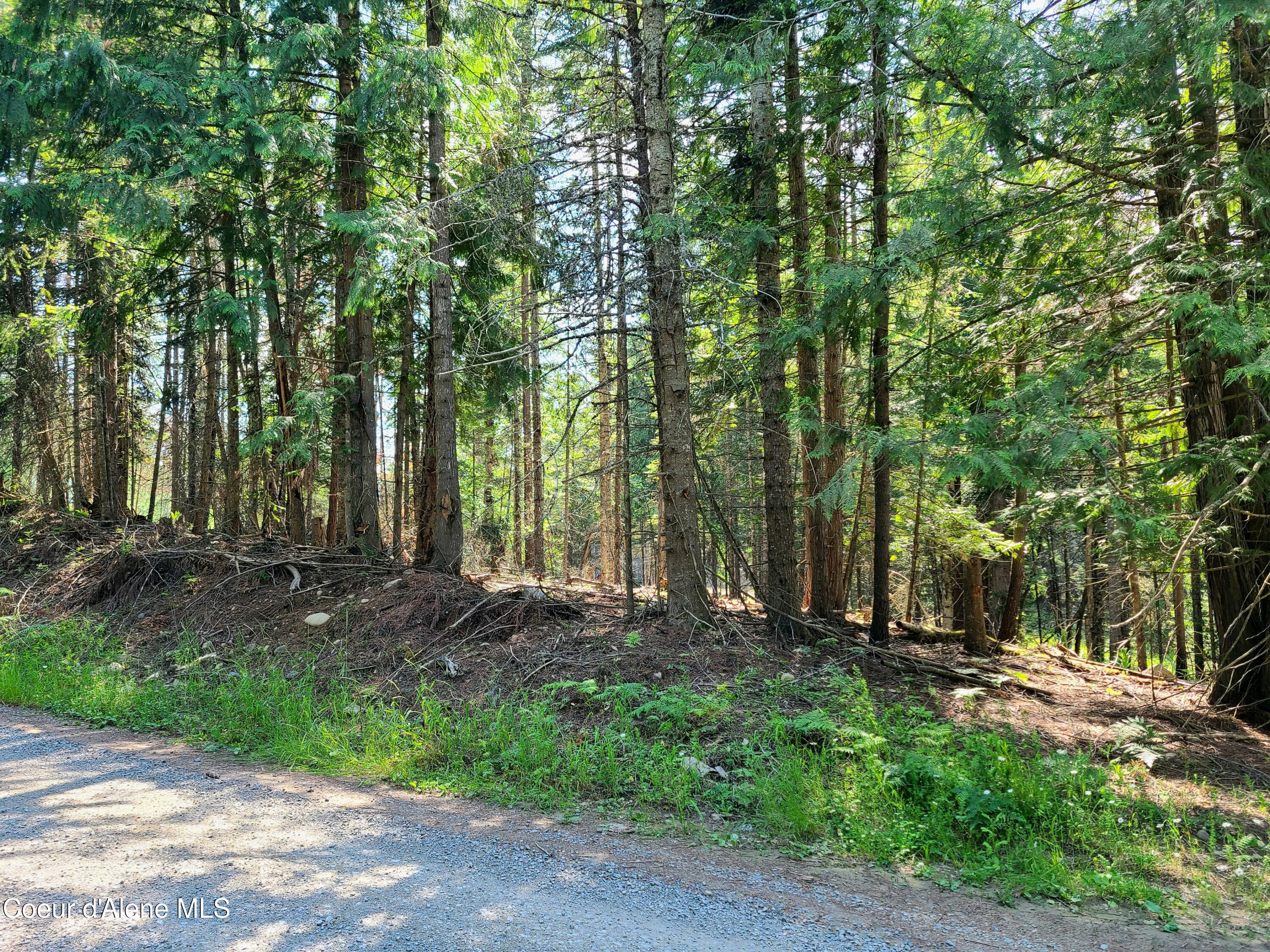 Nna Green Bay Road Sagle, ID 83860 - Photo 12 of 17 11