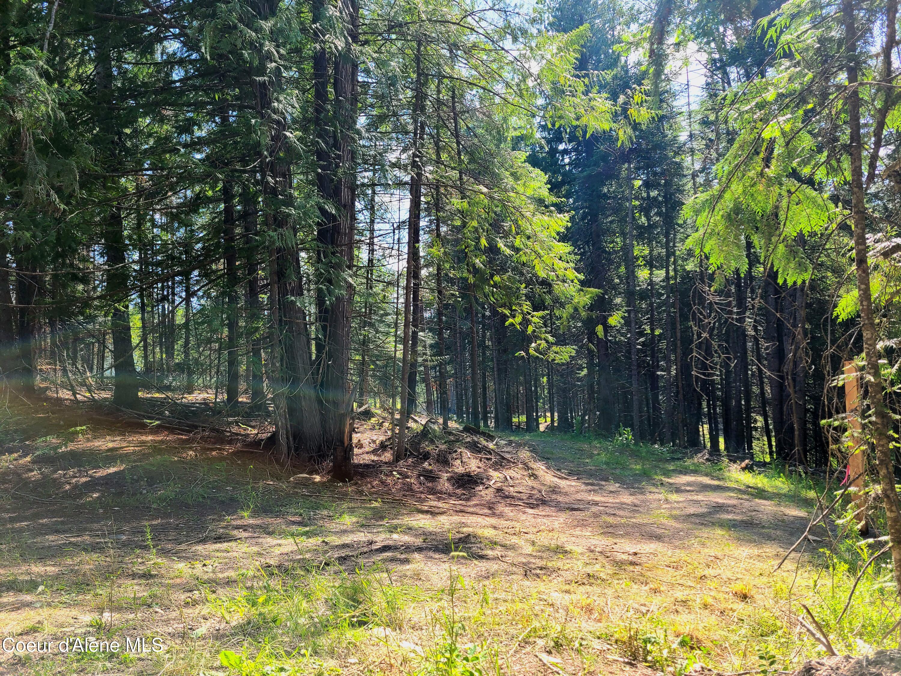 Nna Green Bay Road Sagle, ID 83860 - Photo 4 of 17 3