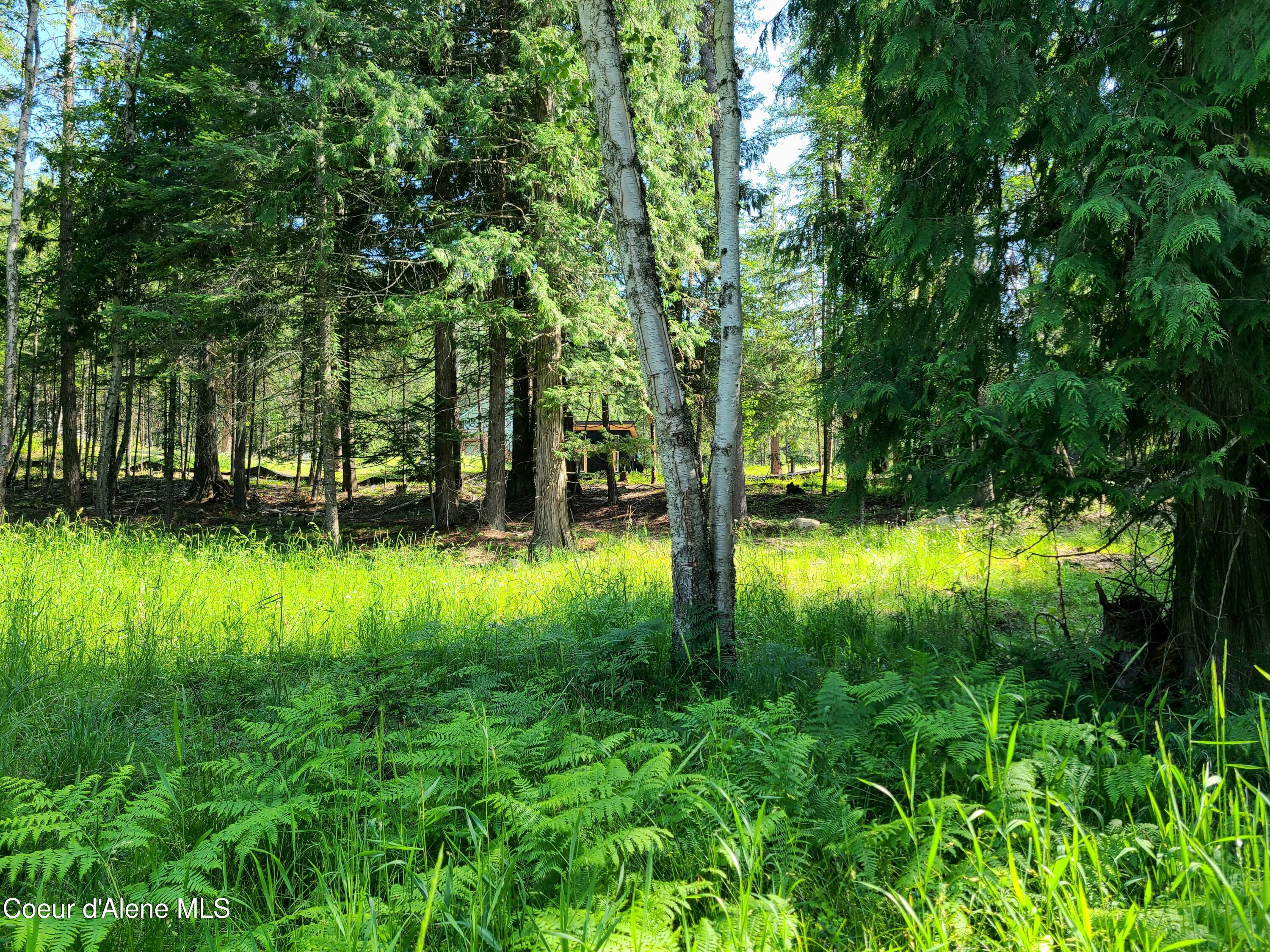 Nna Green Bay Road Sagle, ID 83860 - Photo 6 of 17 5