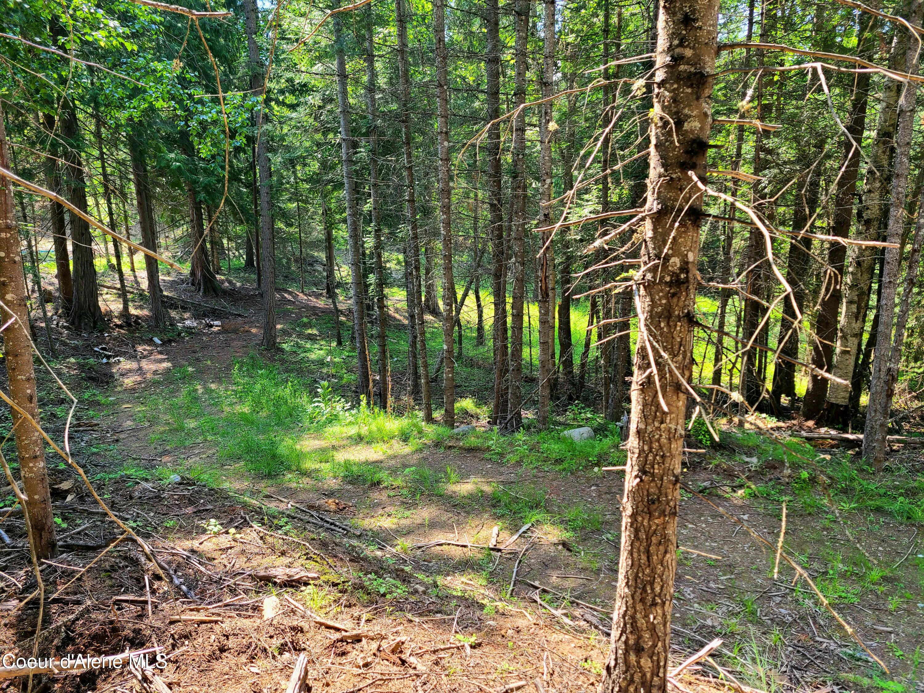 Nna Green Bay Road Sagle, ID 83860 - Photo 7 of 17 6