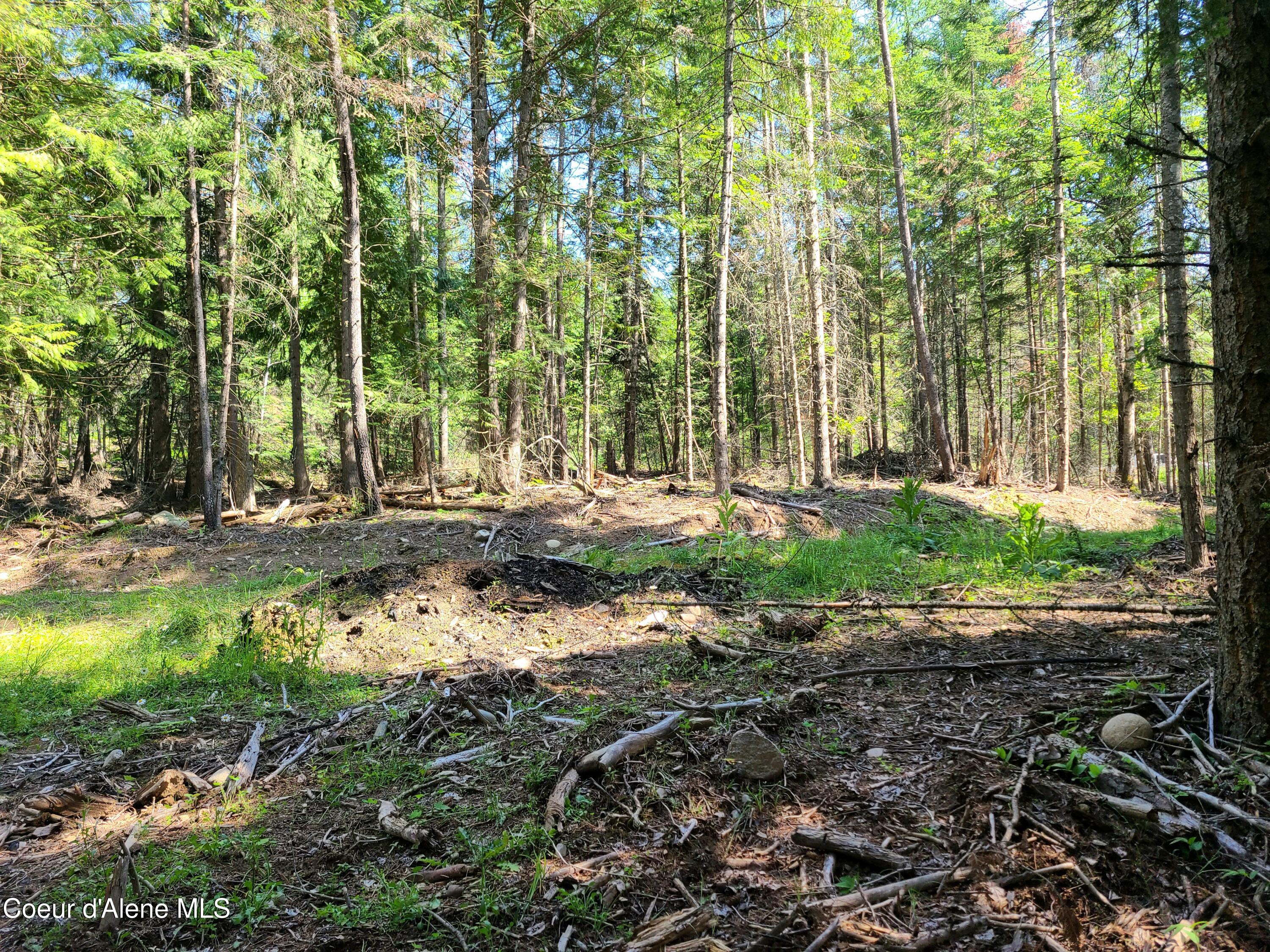 Nna Green Bay Road Sagle, ID 83860 - Photo 8 of 17 7