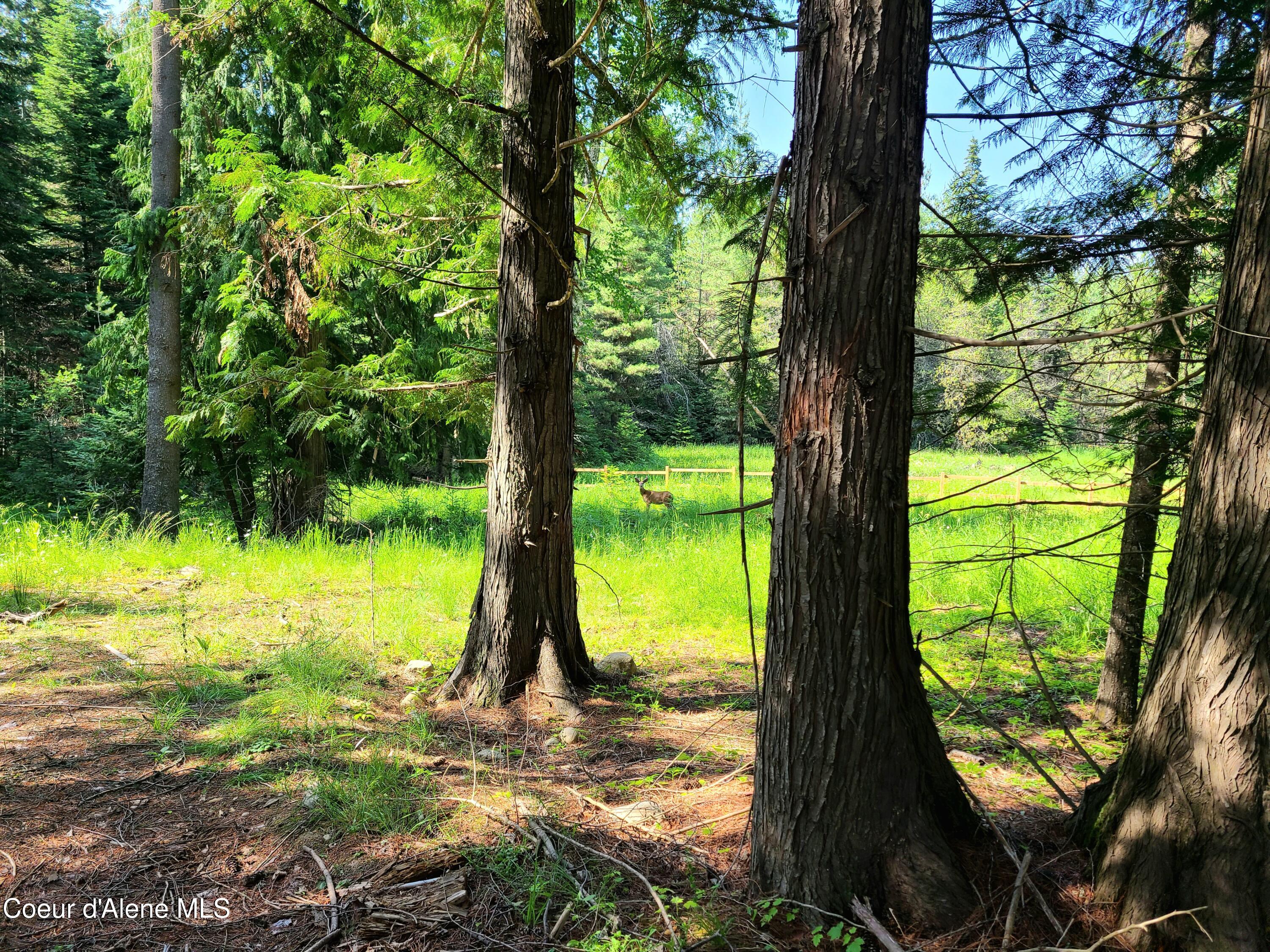 Nna Green Bay Road Sagle, ID 83860 - Photo 9 of 17 8