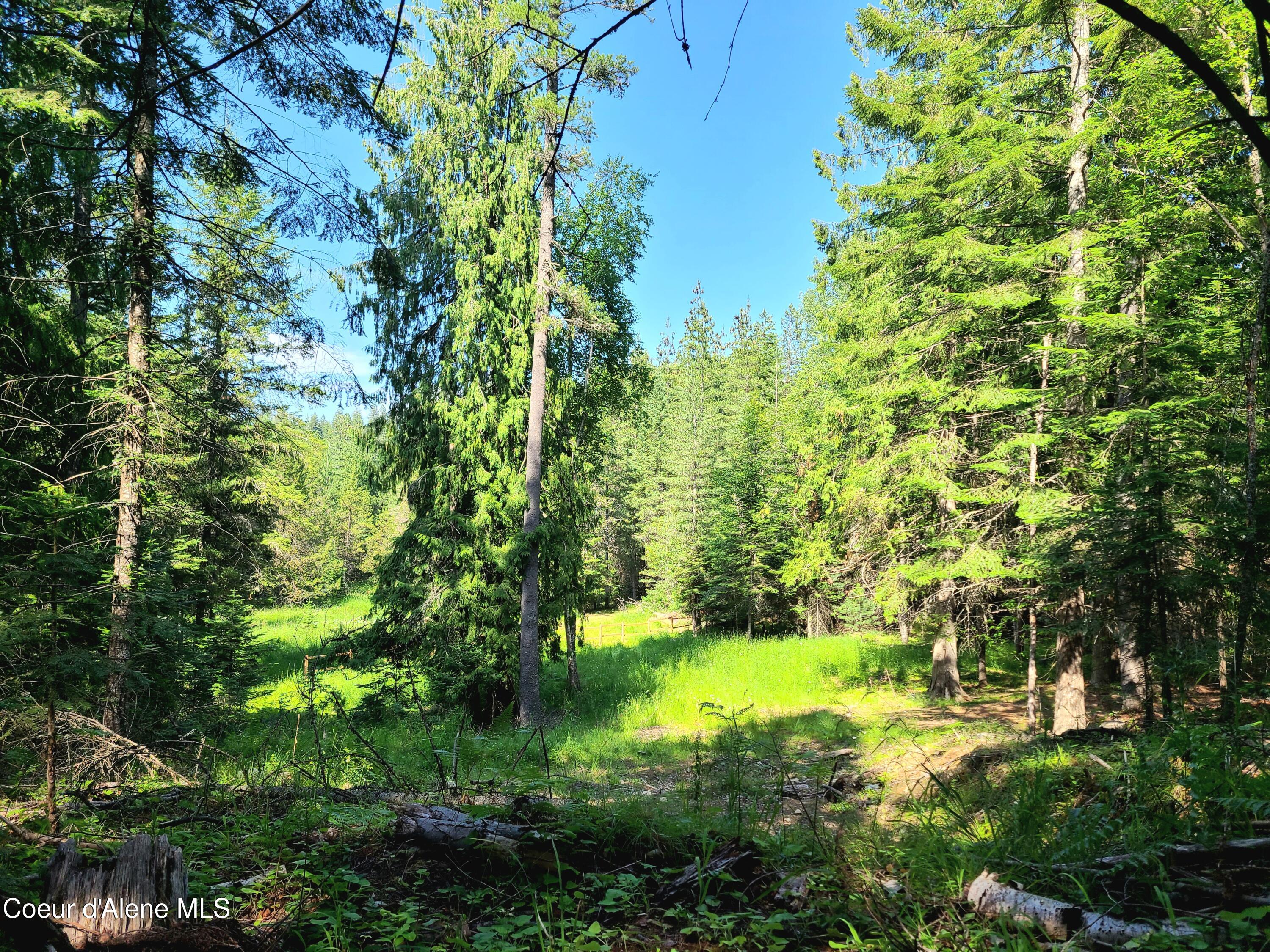 Nna Green Bay Road Sagle, ID 83860 - Photo 10 of 17 9