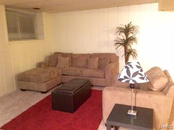 41 Roland Avenue Ballwin, MO 63021 - Photo 17 of 23