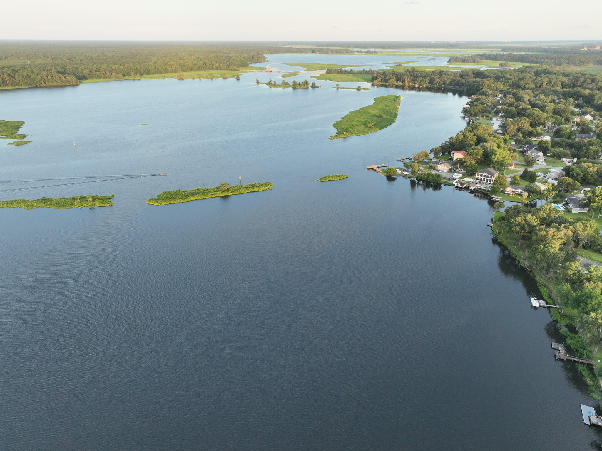 1804 Redhead Road Moncks Corner, SC 29461 - Photo 46 of 52 1804RedheadDrone compressed-14