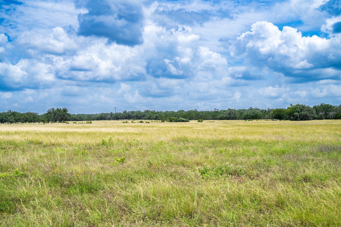 3979 Chimney Valley Road Blanco, TX 78606 - Photo 15 of 34 a view of an ocean and beach