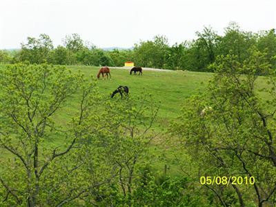 820 Buffalo Trace Road Carlisle, KY 40311 - Photo 5 of 25 Photo 5