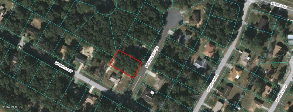 0 Spring Loop Drive Ocala, FL 34472 - Photo 1 of 1 9016-0206-19