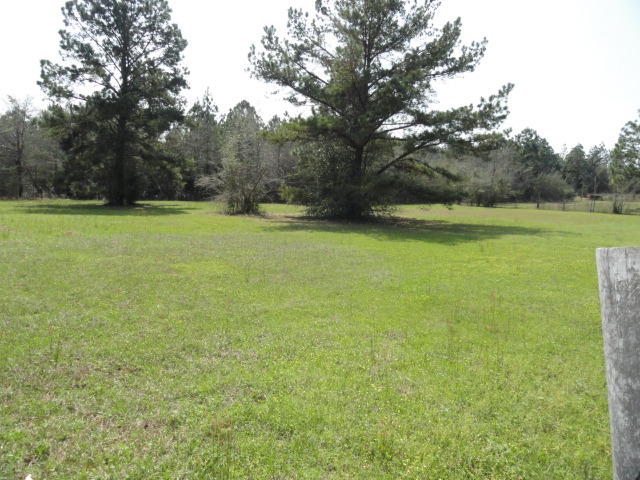 1512 McCauley Road Baker, FL 32531 - Photo 16 of 18 a view of a field with trees