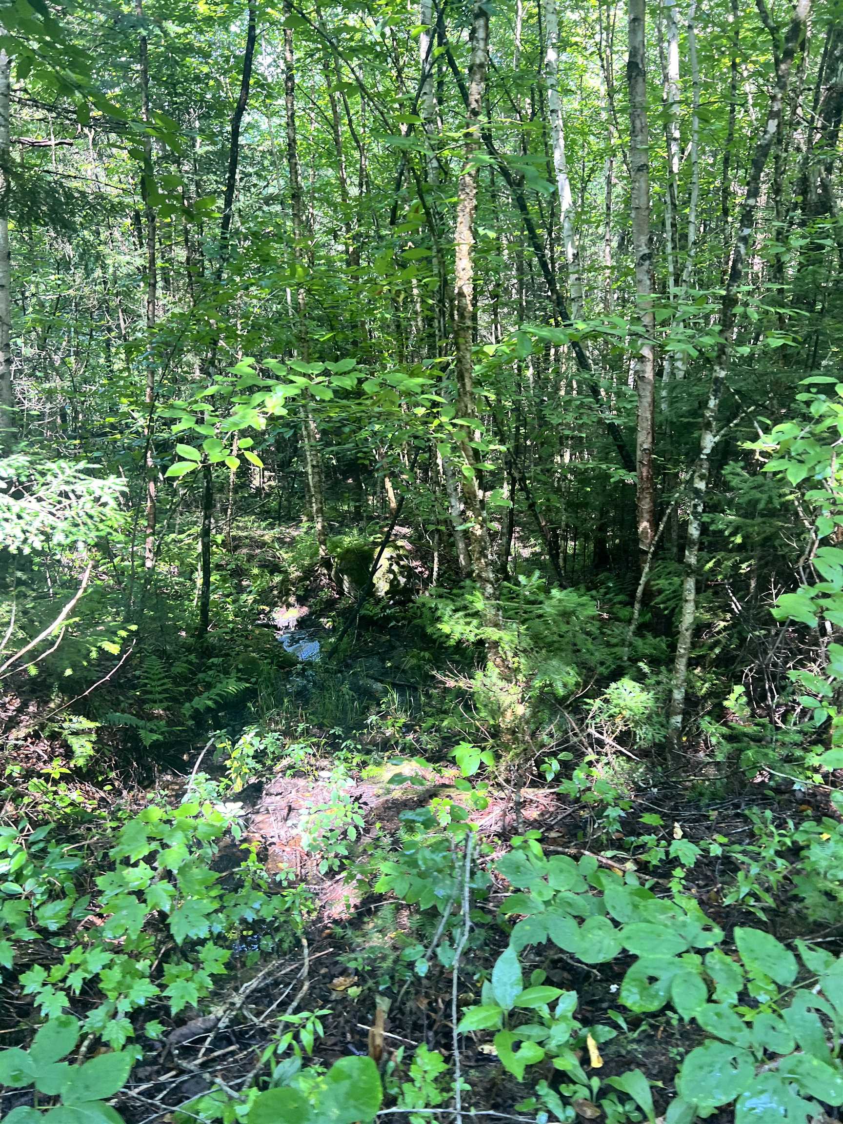 0 Granby Road Granby, VT 05840 - Photo 11 of 14