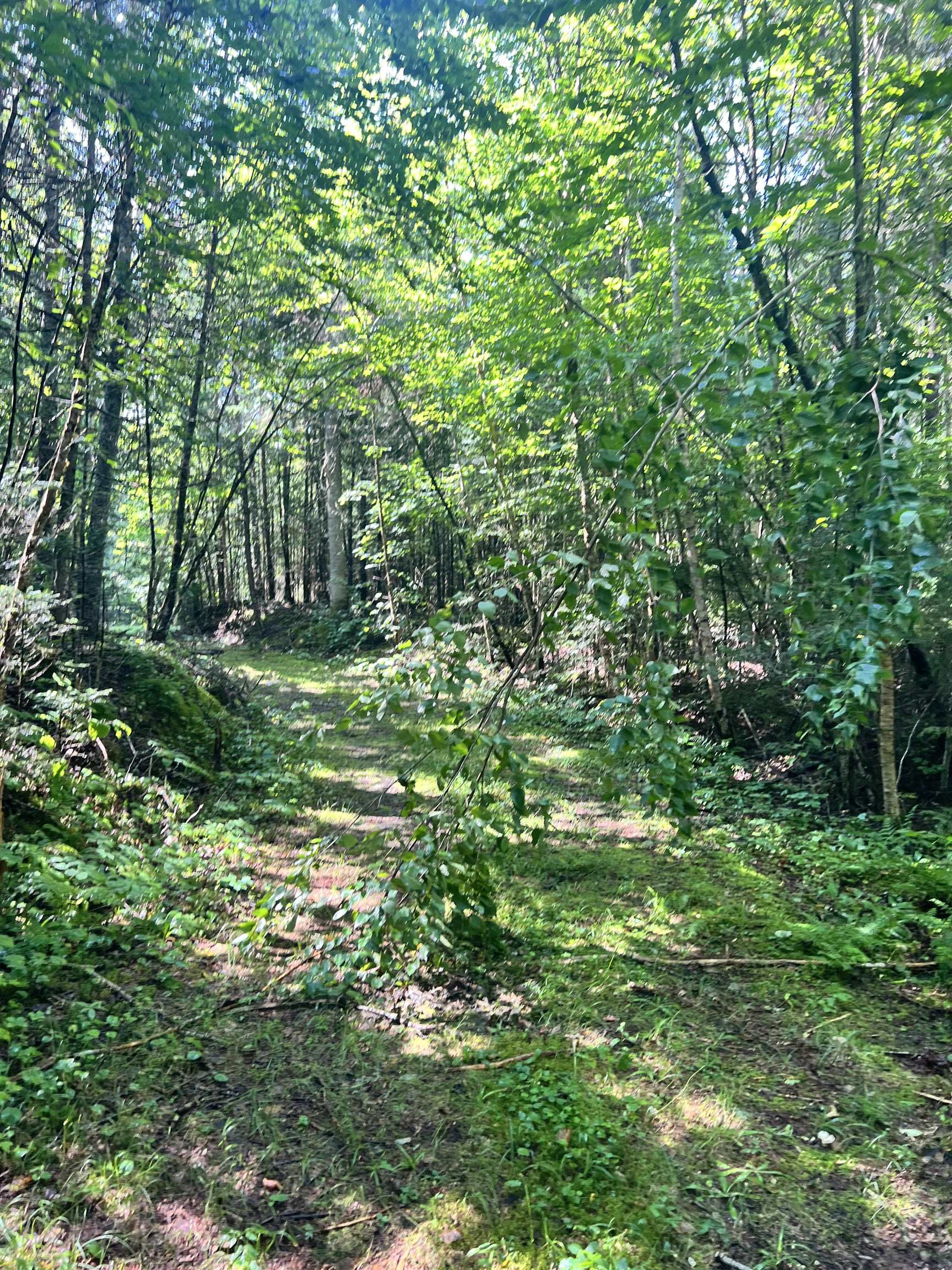 0 Granby Road Granby, VT 05840 - Photo 12 of 14