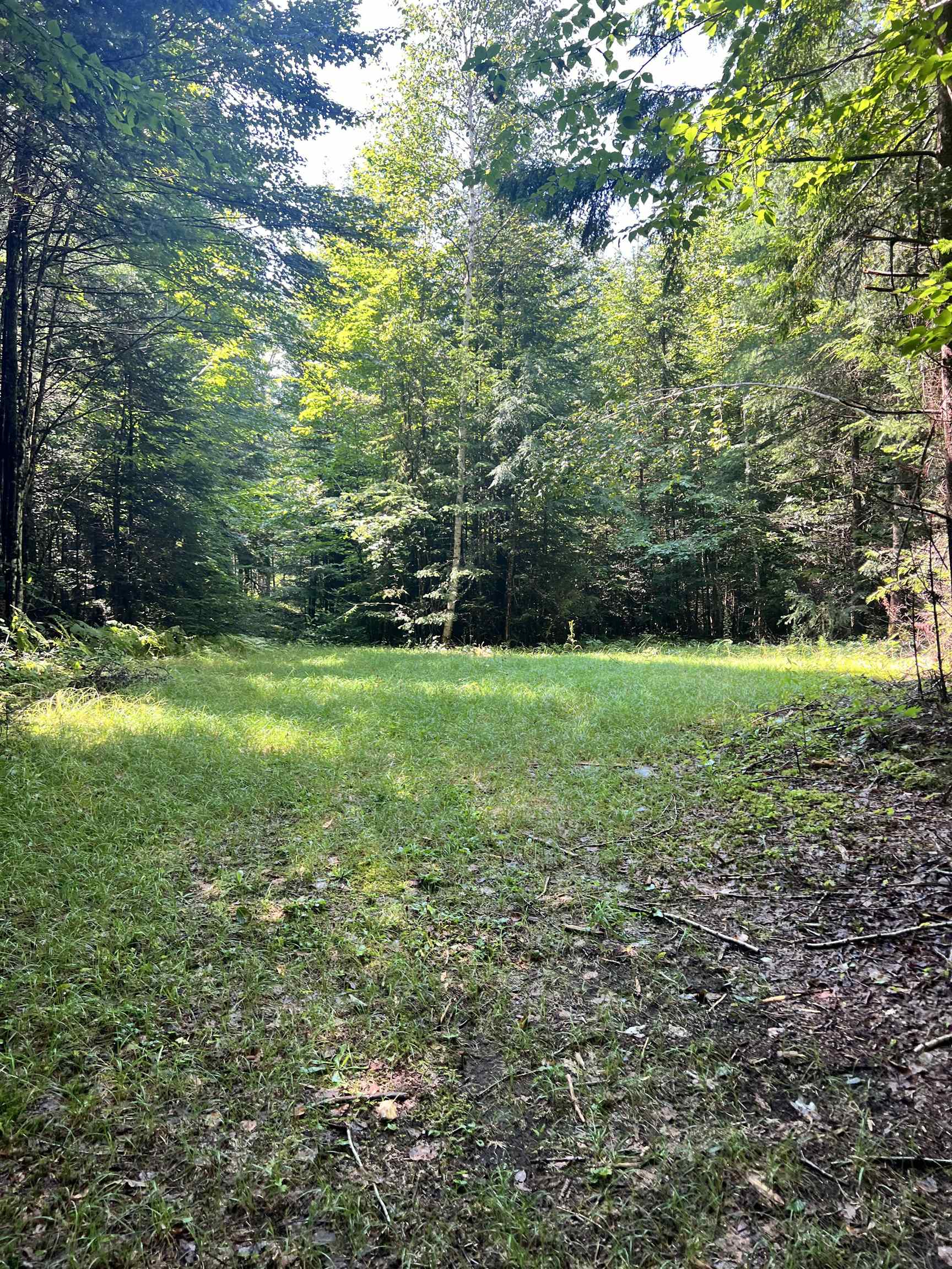 0 Granby Road Granby, VT 05840 - Photo 13 of 14