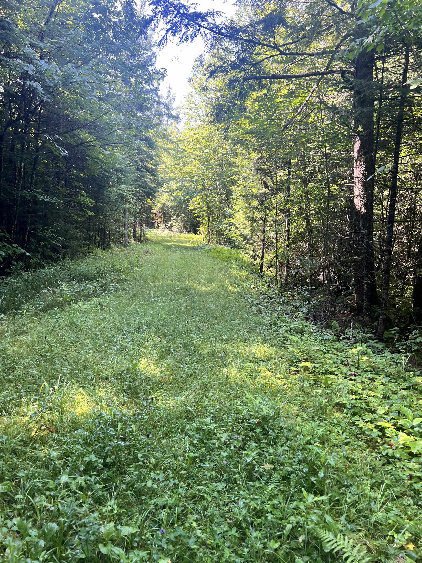 0 Granby Road Granby, VT 05840 - Photo 2 of 14