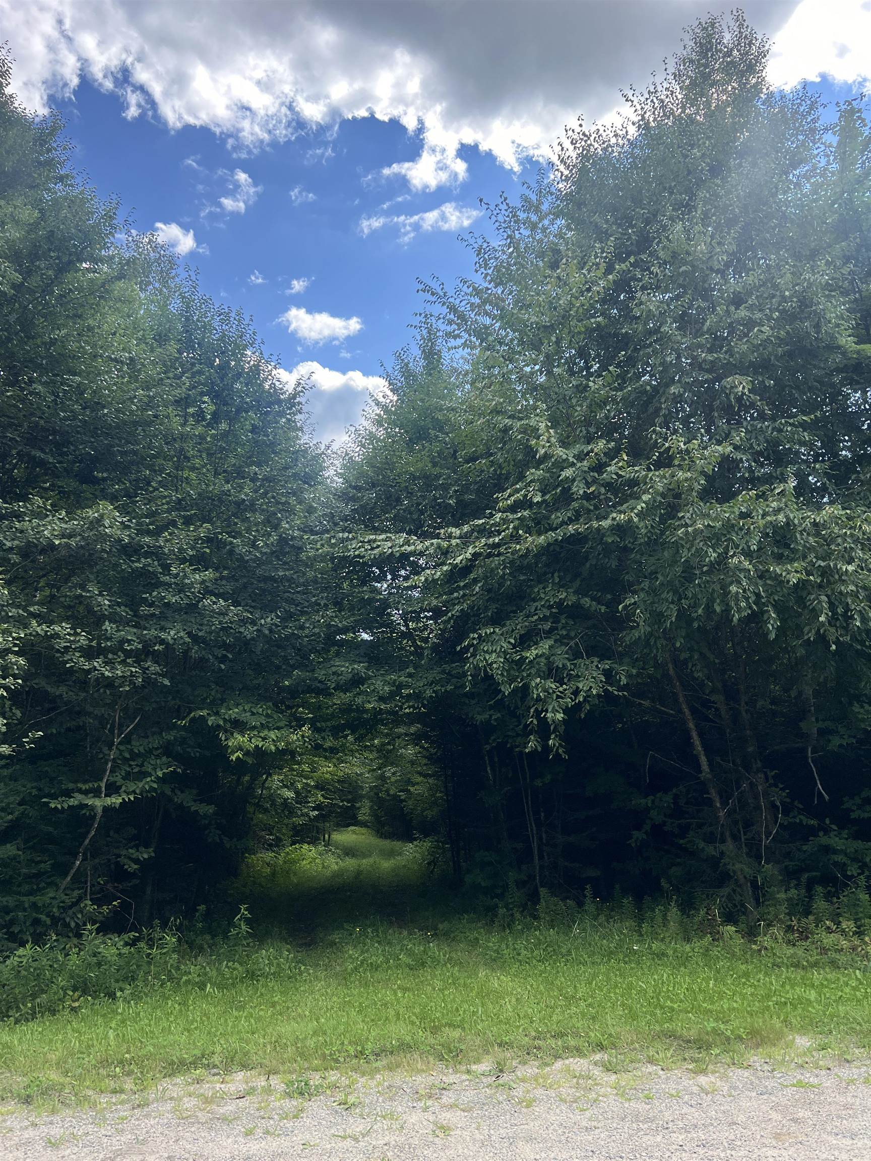 0 Granby Road Granby, VT 05840 - Photo 3 of 14