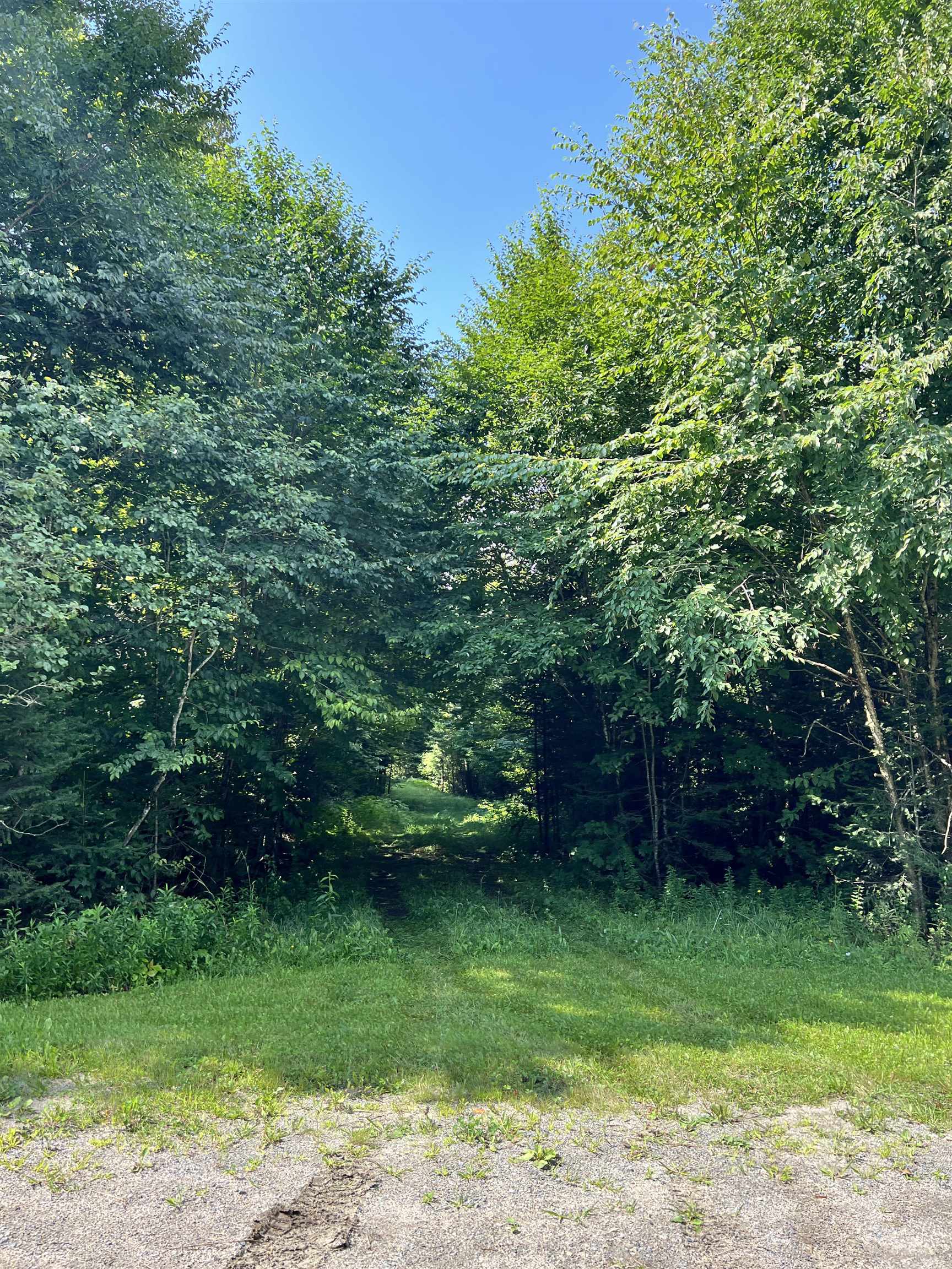 0 Granby Road Granby, VT 05840 - Photo 5 of 14