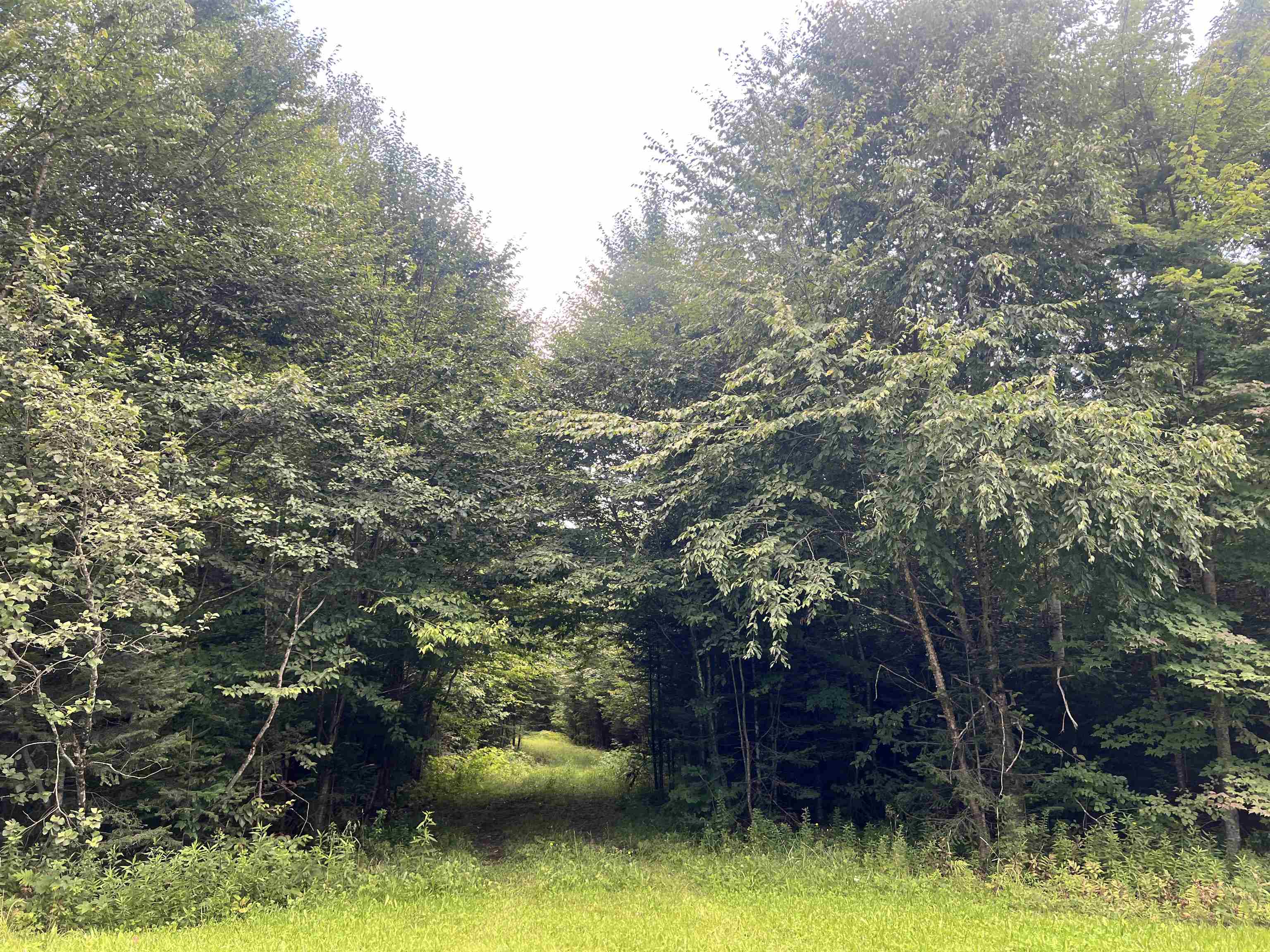 0 Granby Road Granby, VT 05840 - Photo 6 of 14