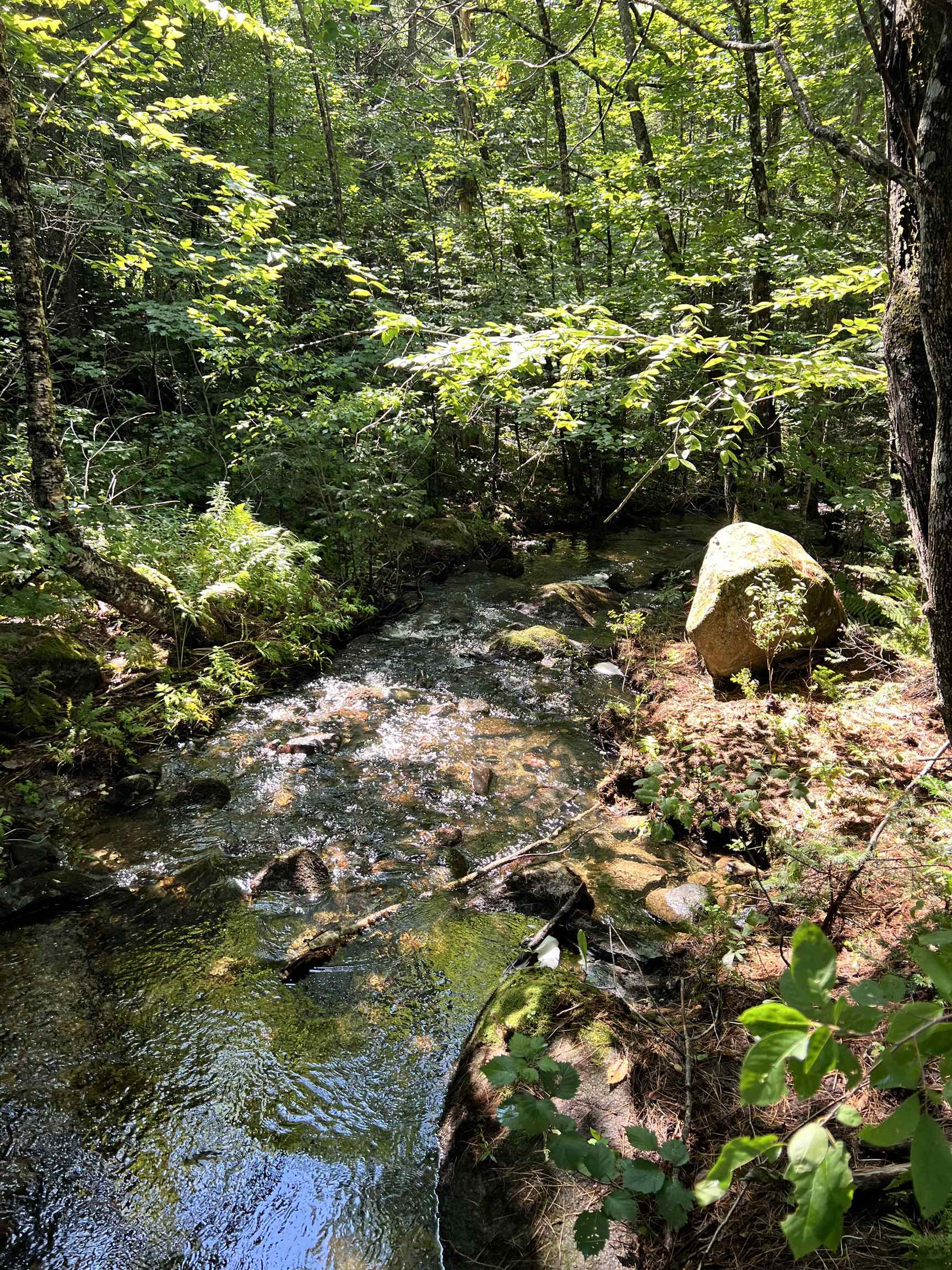 0 Granby Road Granby, VT 05840 - Photo 7 of 14