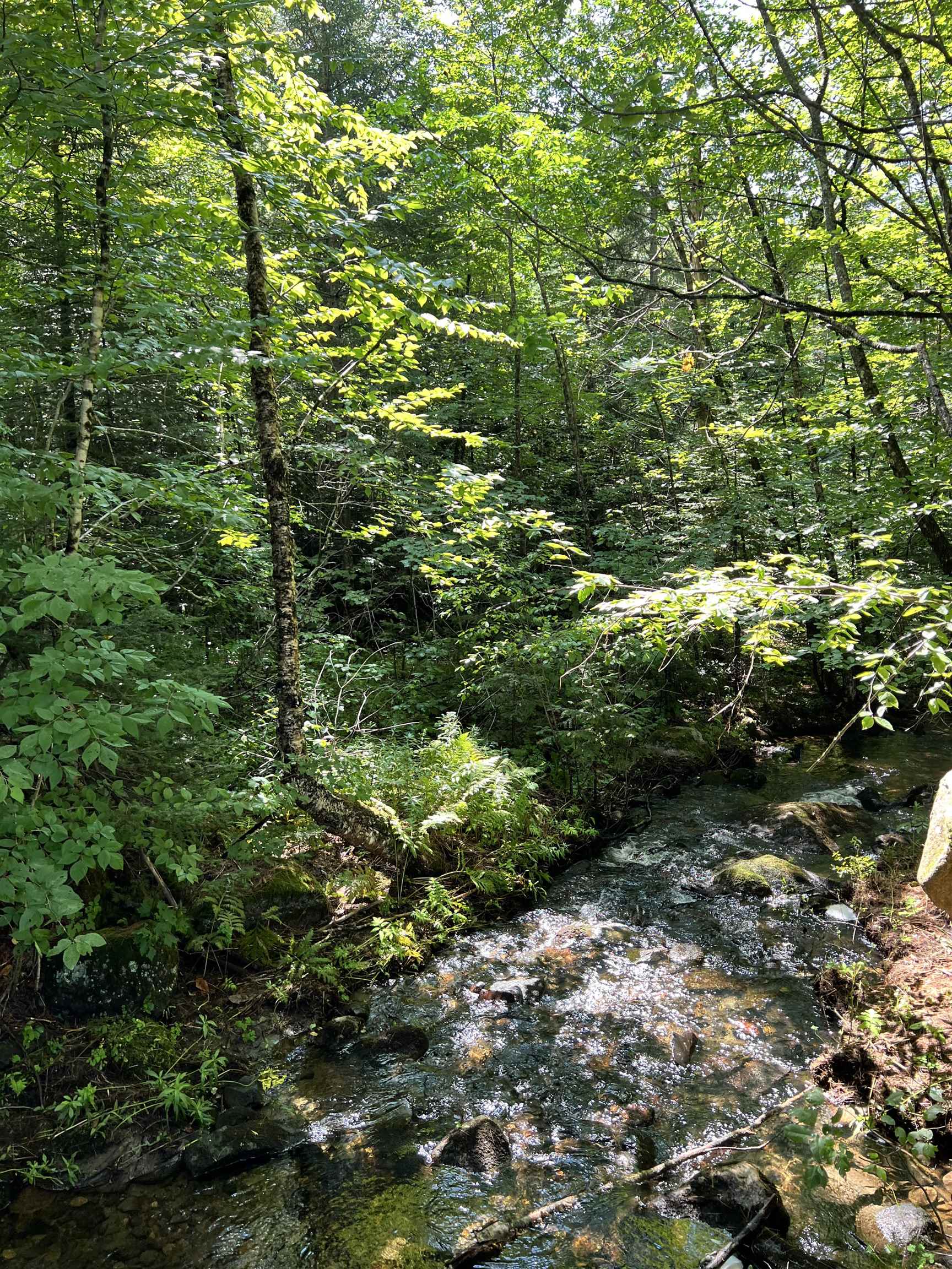 0 Granby Road Granby, VT 05840 - Photo 8 of 14