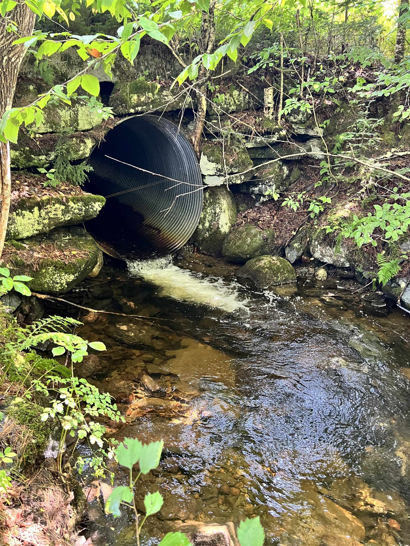 0 Granby Road Granby, VT 05840 - Photo 9 of 14