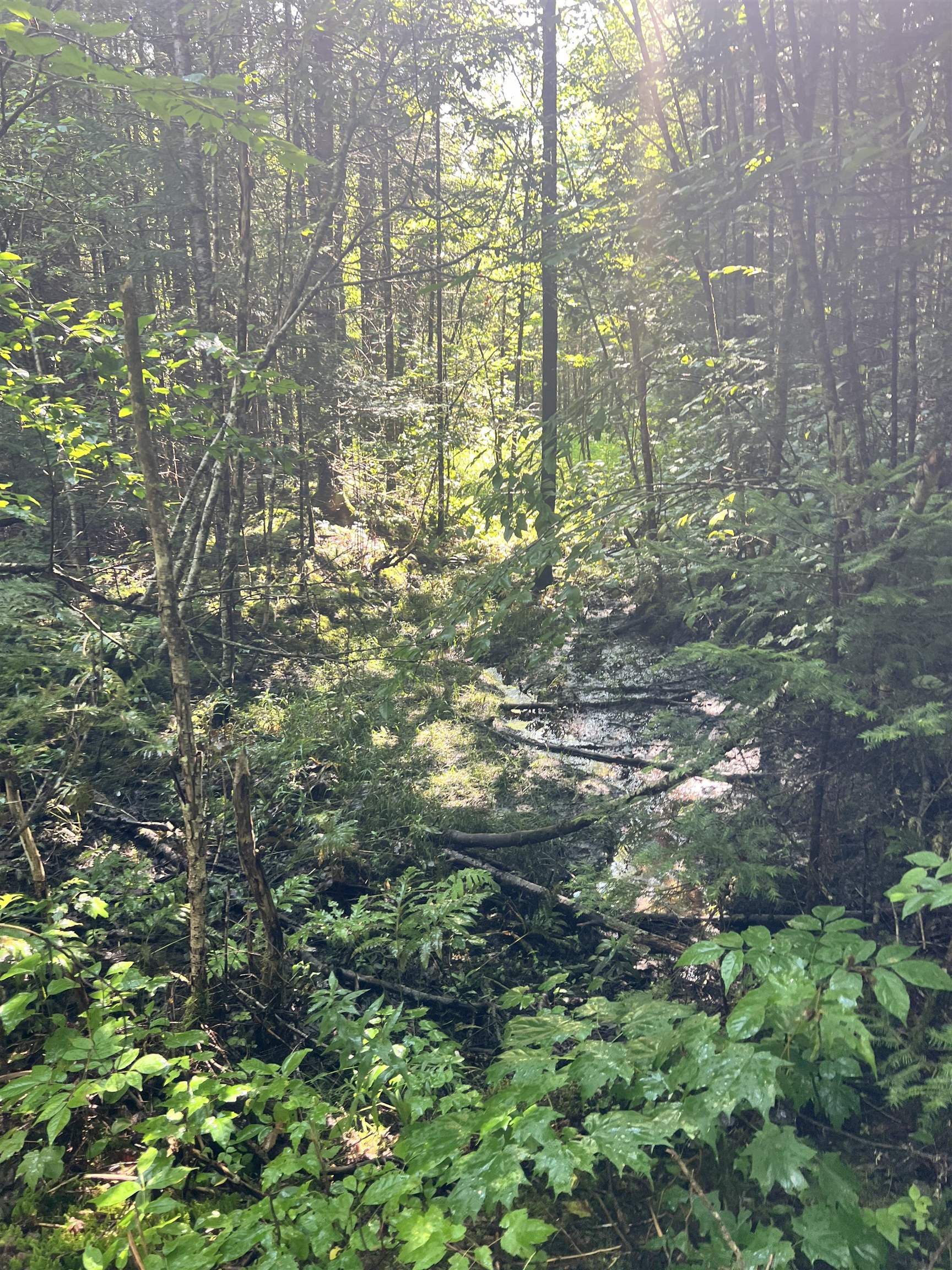 0 Granby Road Granby, VT 05840 - Photo 10 of 14