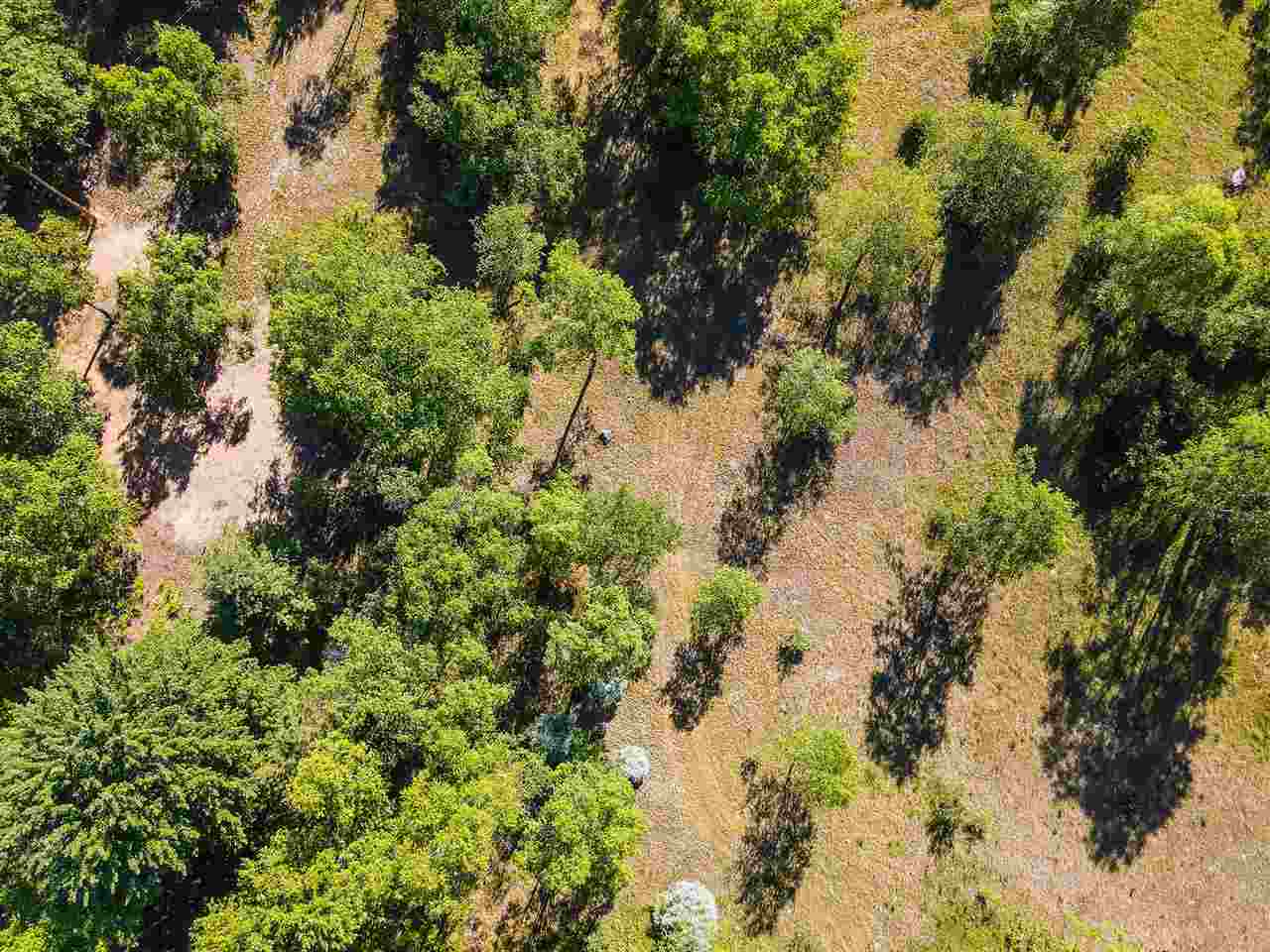 19 Mile Road, Unit 10 ACRES Leroy, MI 49655 - Photo 10 of 14