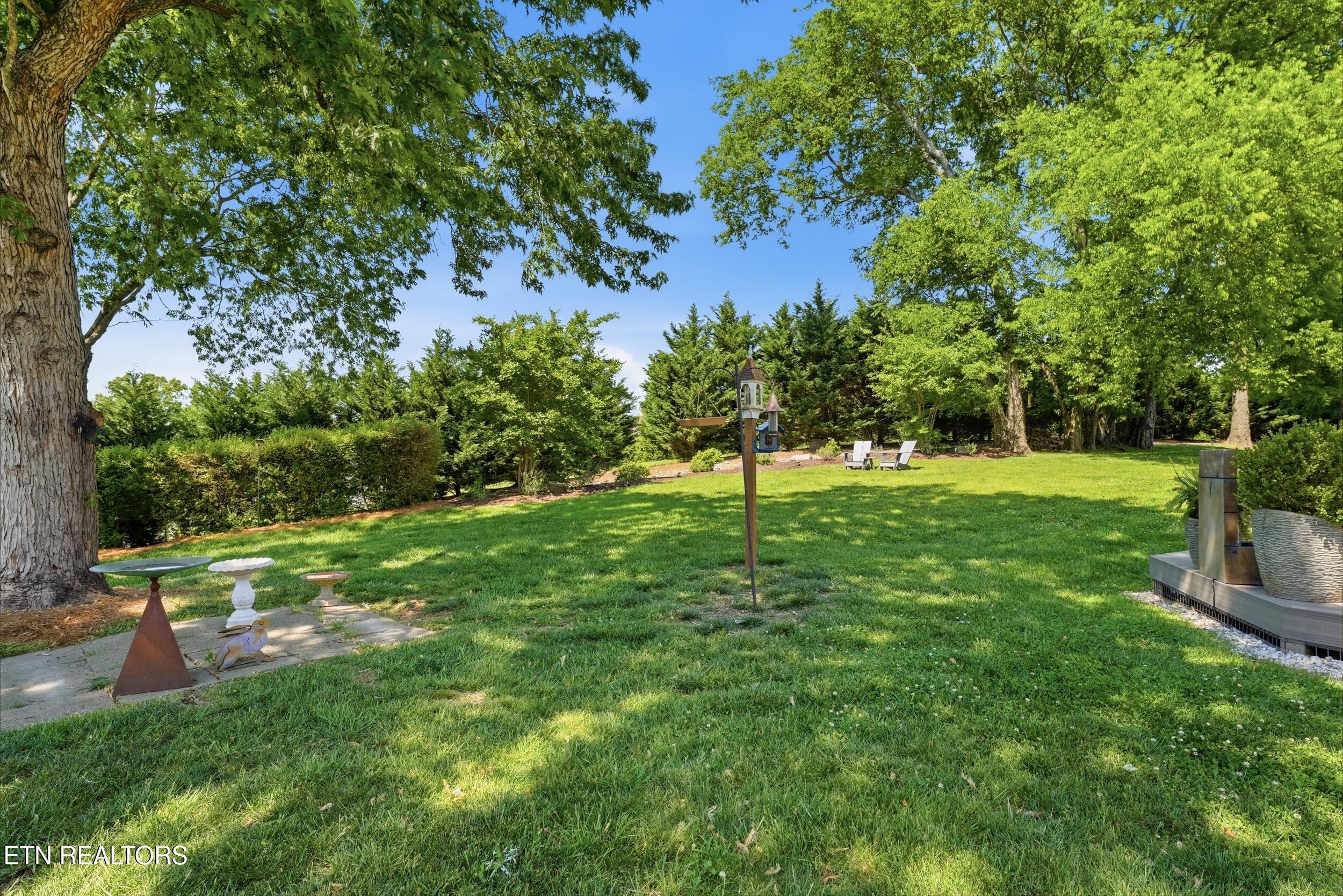 9619 Mariners Point Knoxville, TN 37922 - Photo 49 of 60 Back yard
